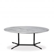 Marble coffee table